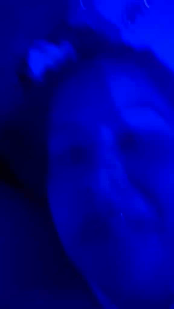 Vídeo 1