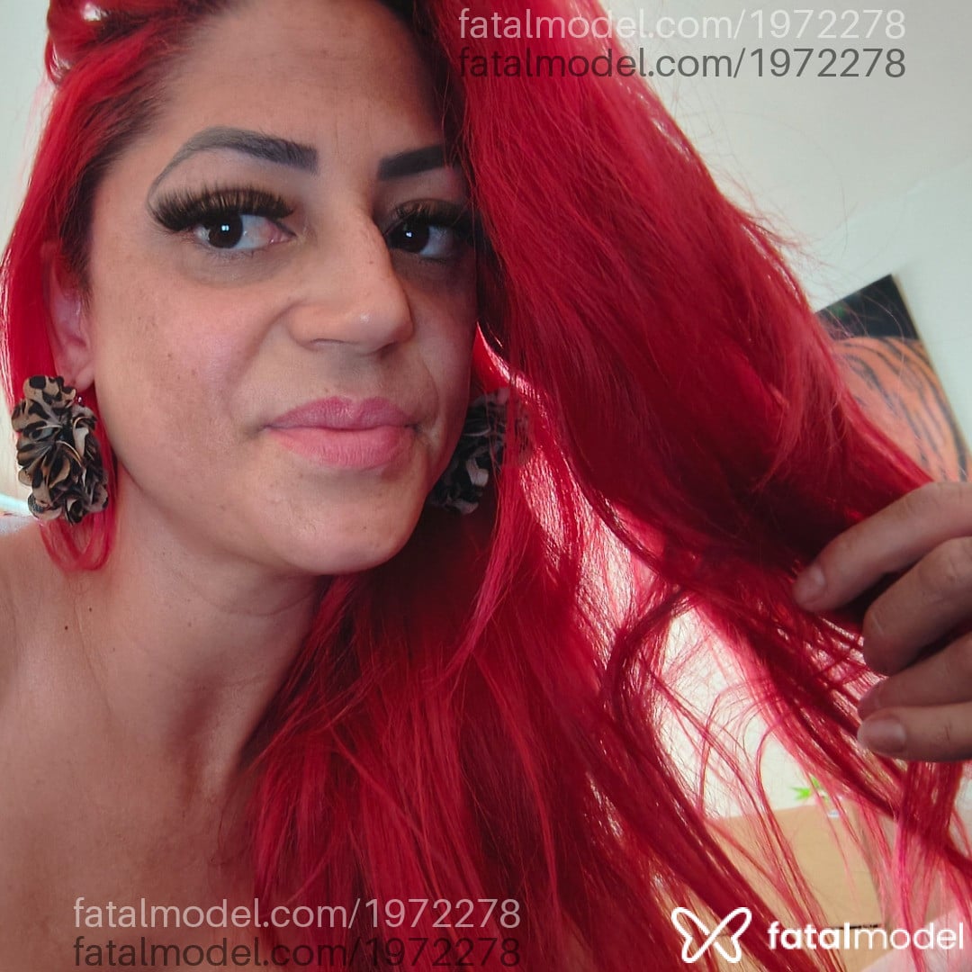 Imagem 4