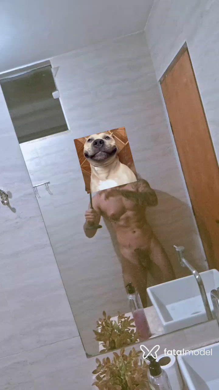 Vídeo 4
