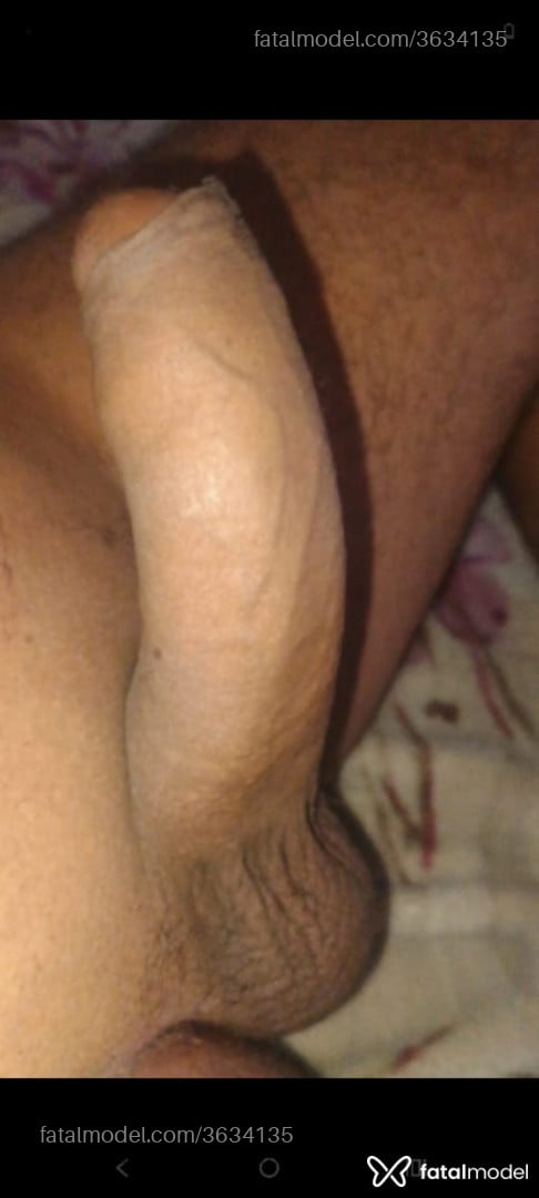 Imagem 3