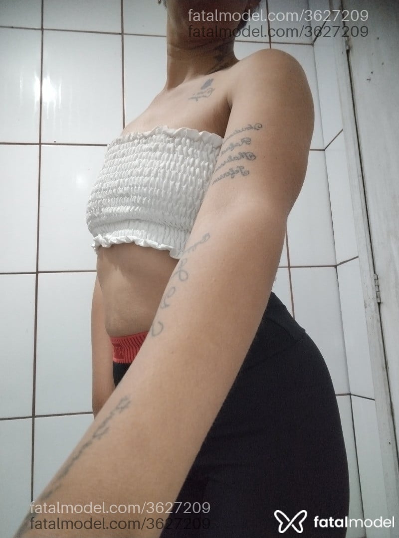 Imagem 3