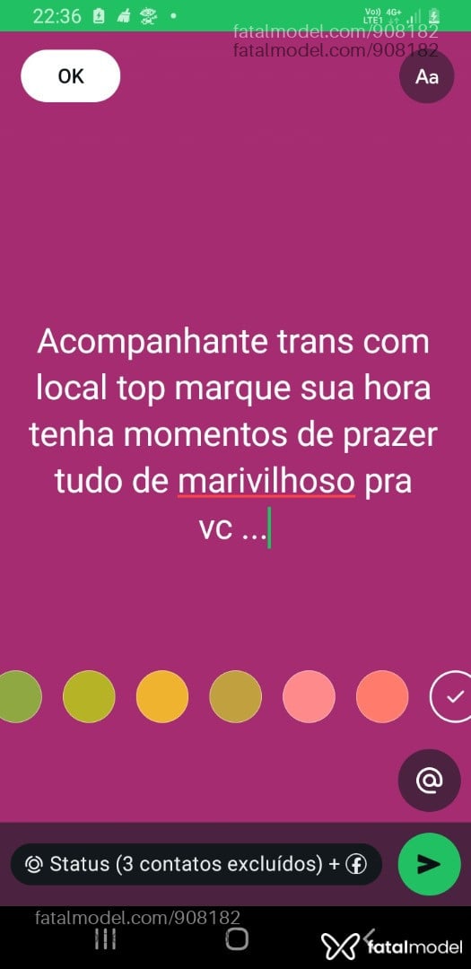 Acompanhante travesti com cabelo castanho de olhos castanhos - Eduarda dudaa