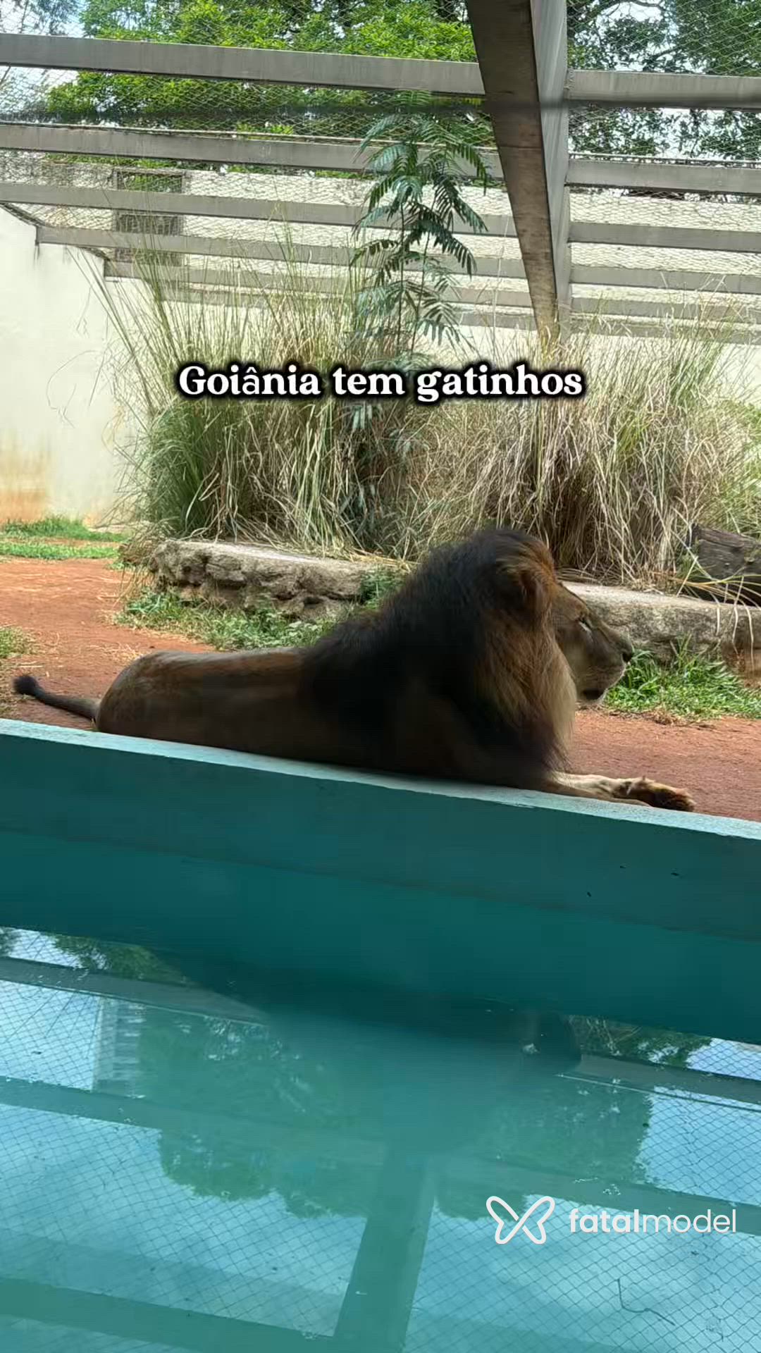 Vídeo 4