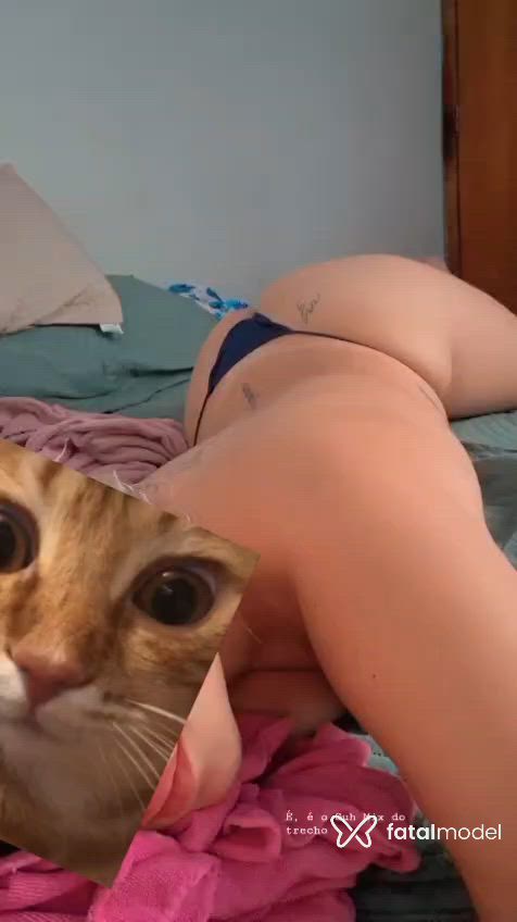 Vídeo 1