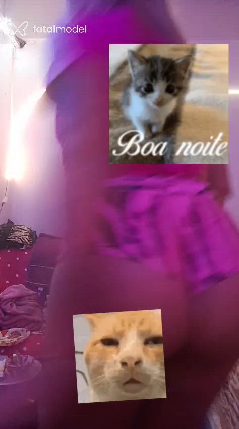 Acompanhante mulher trans loira (o) de olhos verdes em Lages Acompanhante mulher trans loira (o) de olhos verdes em Lages - Grazyella Bumbumgg