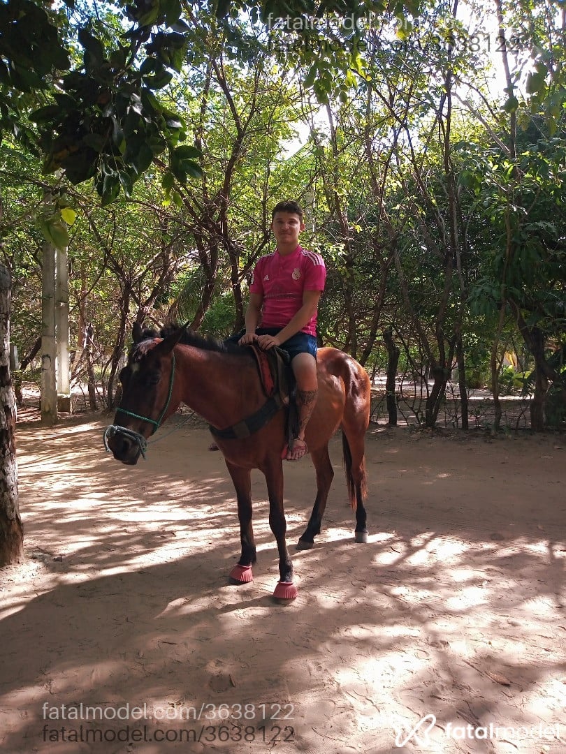 Imagem 3