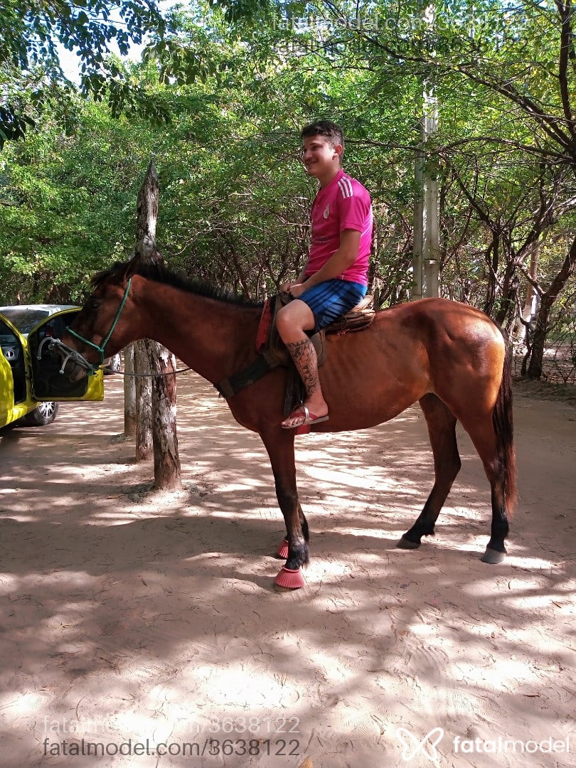 Imagem 1