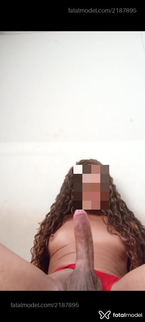 Acompanhante mulher trans morena (o) de olhos pretos - Travestiversatil