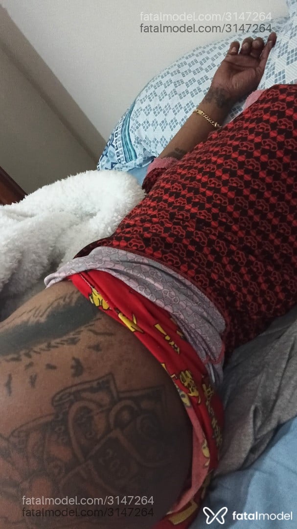 Acompanhante homem trans morena (o) de olhos castanhos - Maycon Douglas