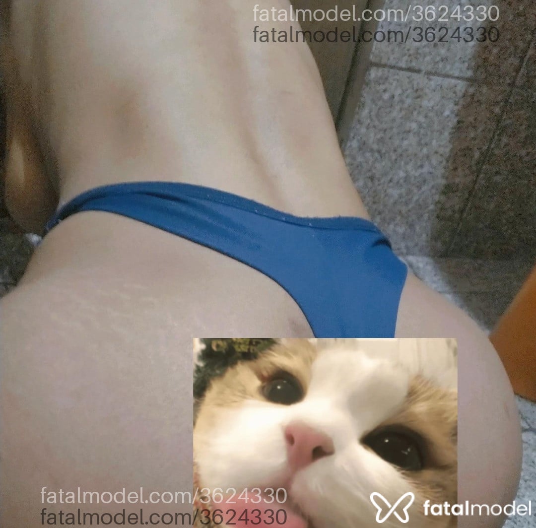 Imagem 3