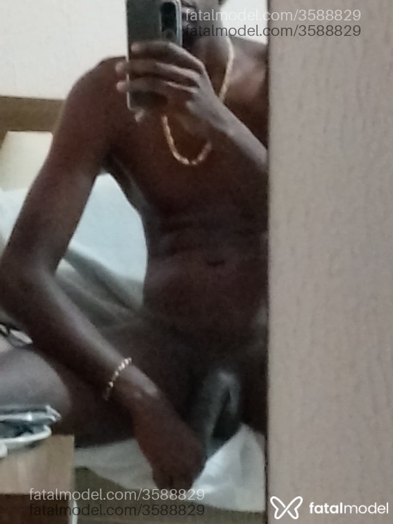 Imagem 5