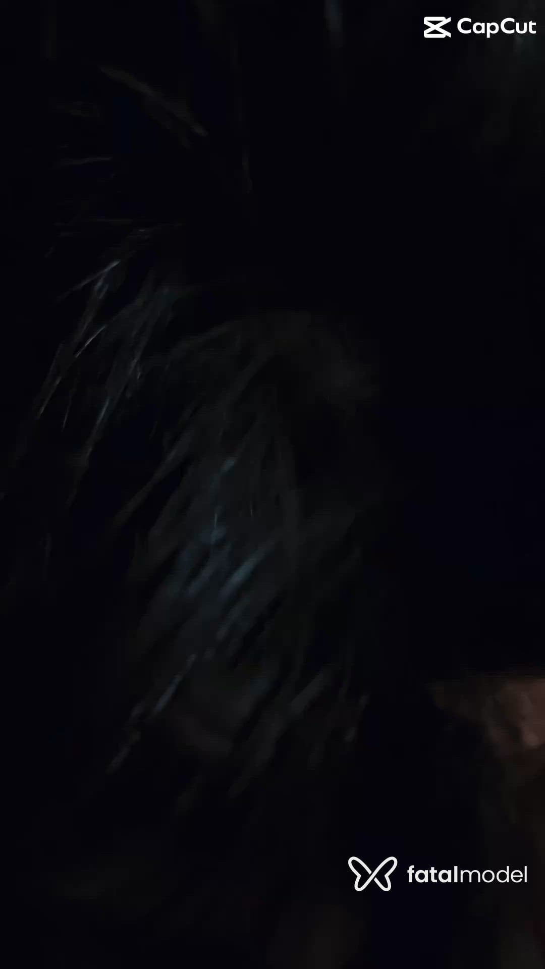 Vídeo 3