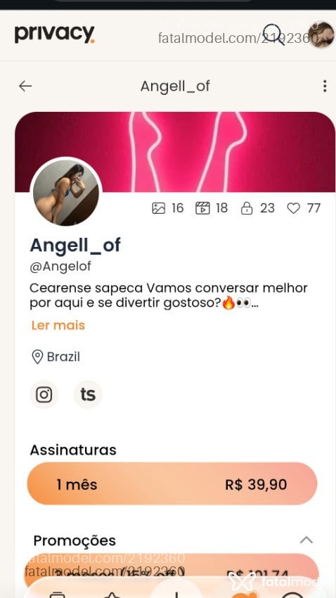 Imagem 6