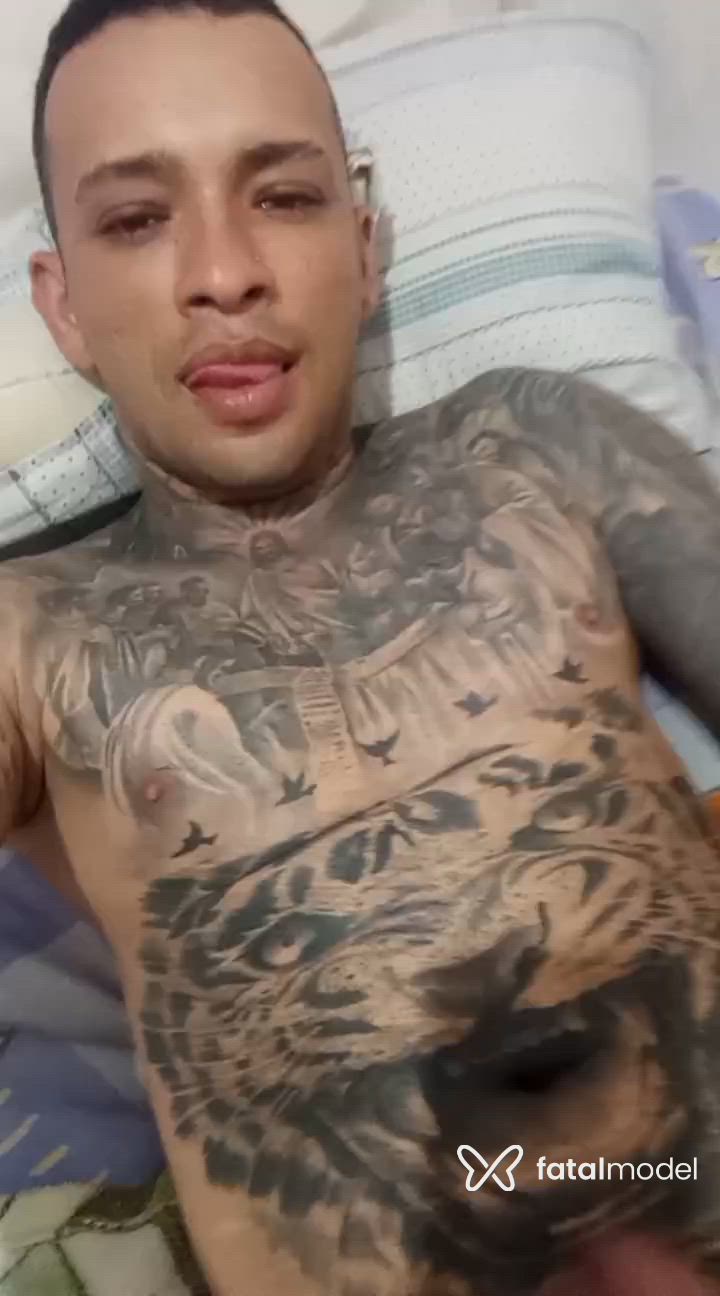 Vídeo 4