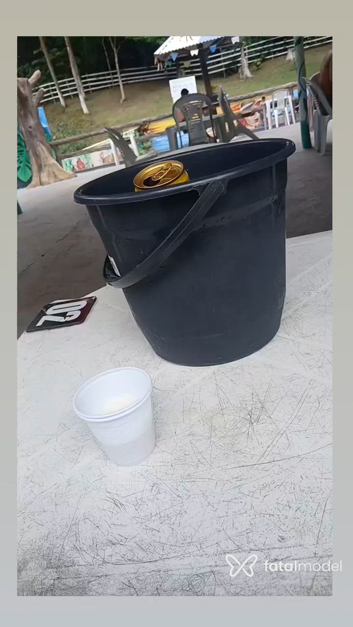 Vídeo 1