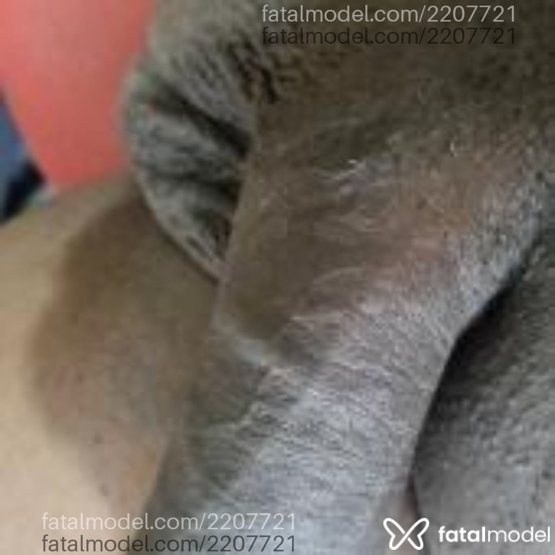 Imagem 4