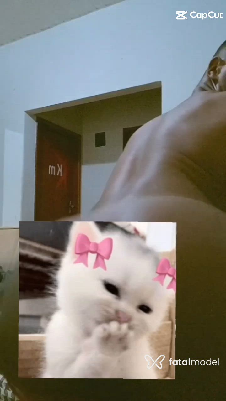 Vídeo 1