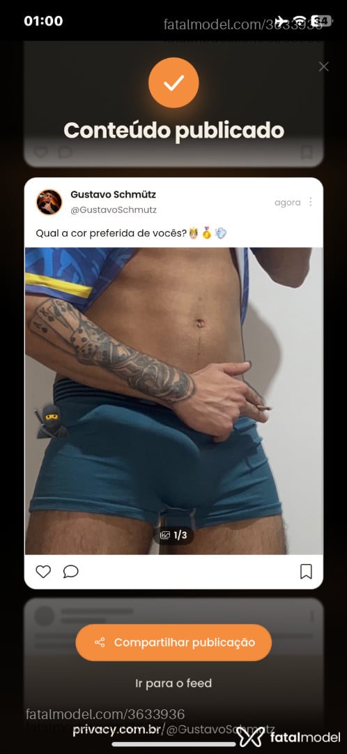 Acompanhante homem morena (o) de olhos castanhos - Gustavo Schmutz
