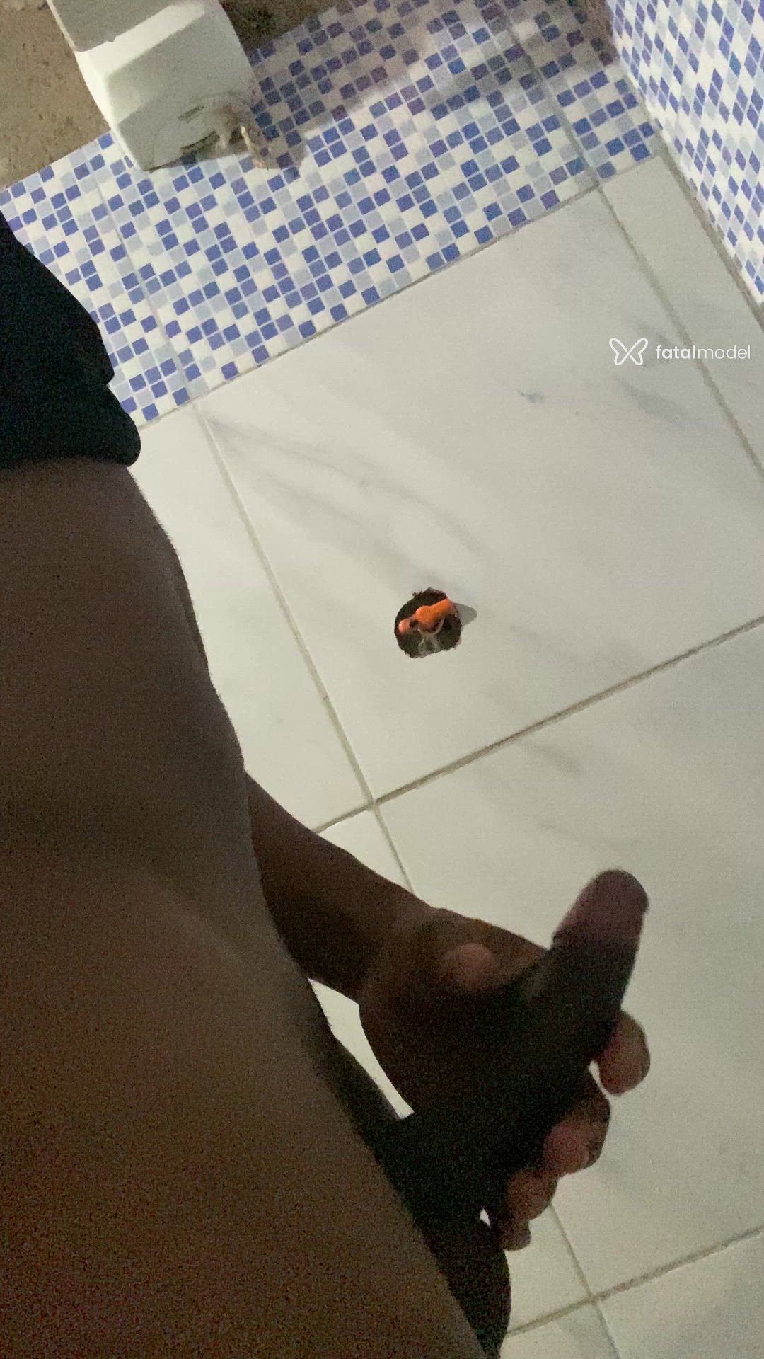 Vídeo 3