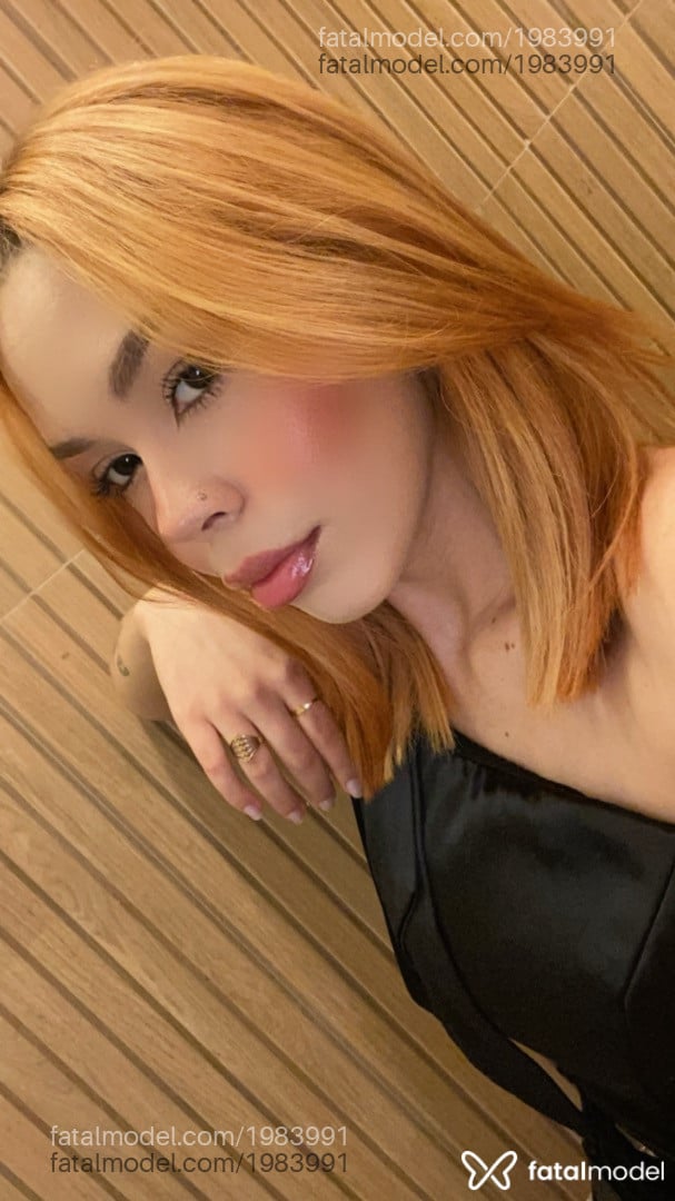 Imagem 3
