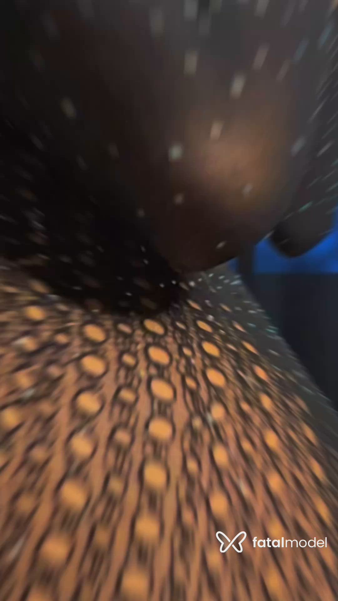 Vídeo 4