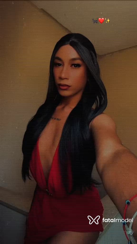 Vídeo 4