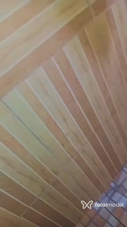 Vídeo 6