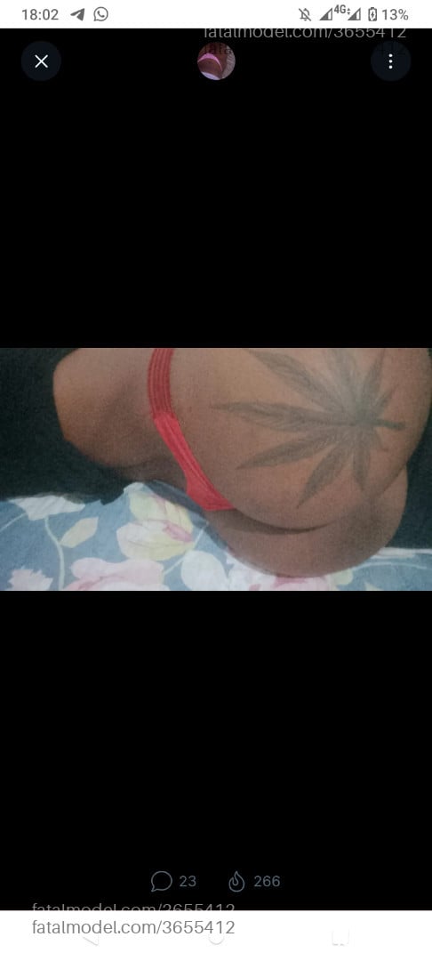 Imagem 4