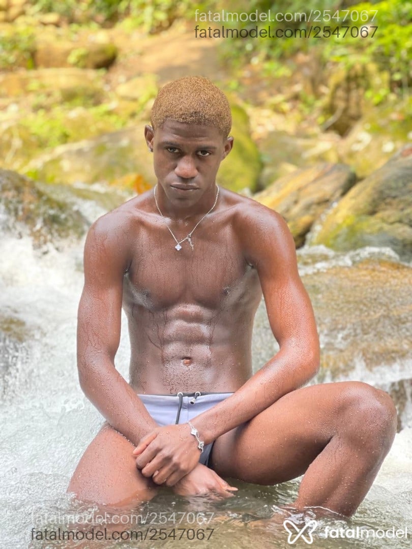 Imagem 8