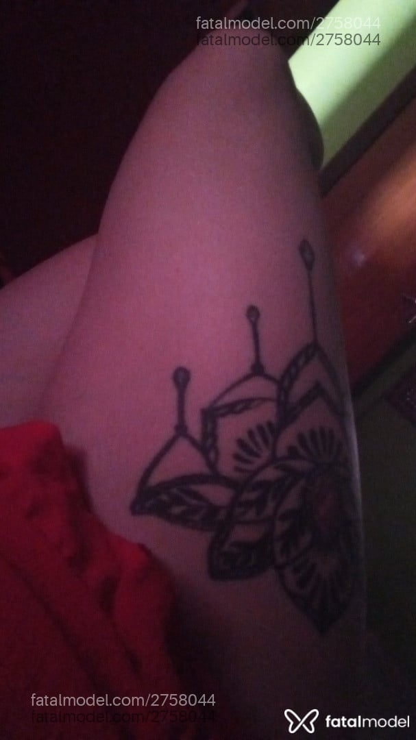 Imagem 4