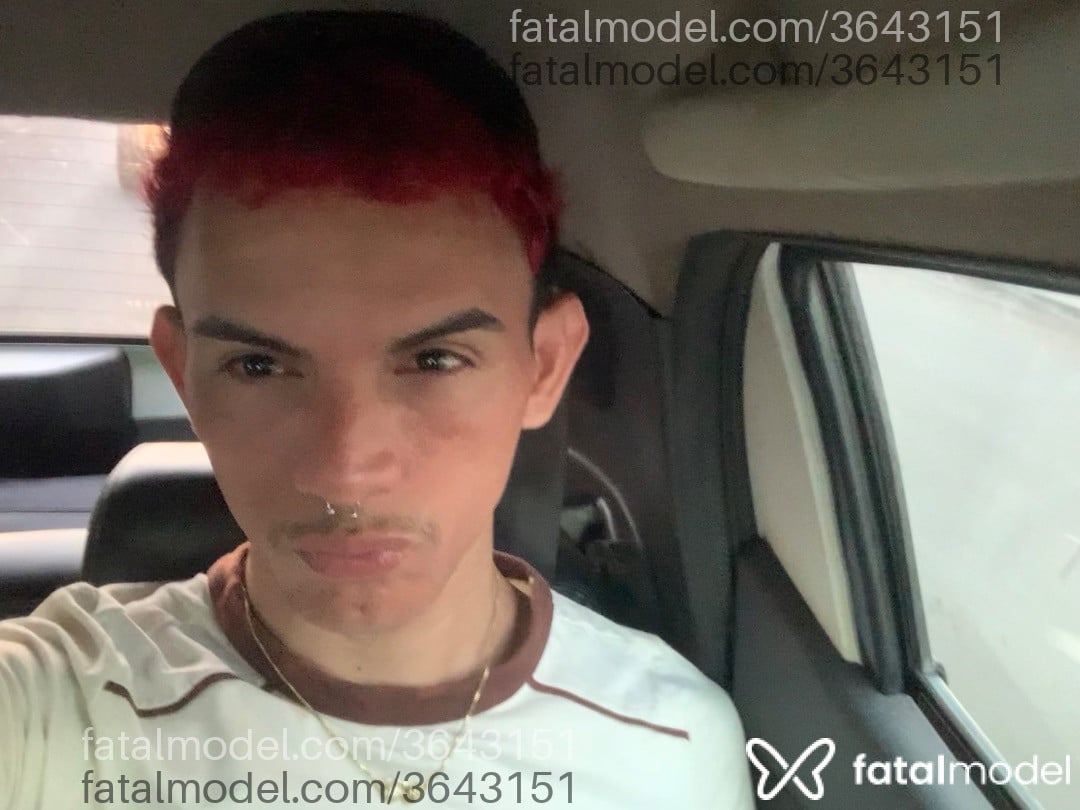 Acompanhante homem ruiva (o) de olhos pretos - Oudry