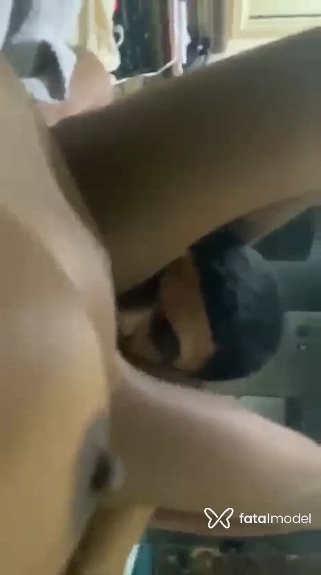Vídeo 5