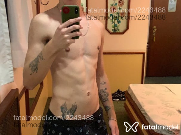 Acompanhante homem com cabelo castanho de olhos castanhos - Freittas