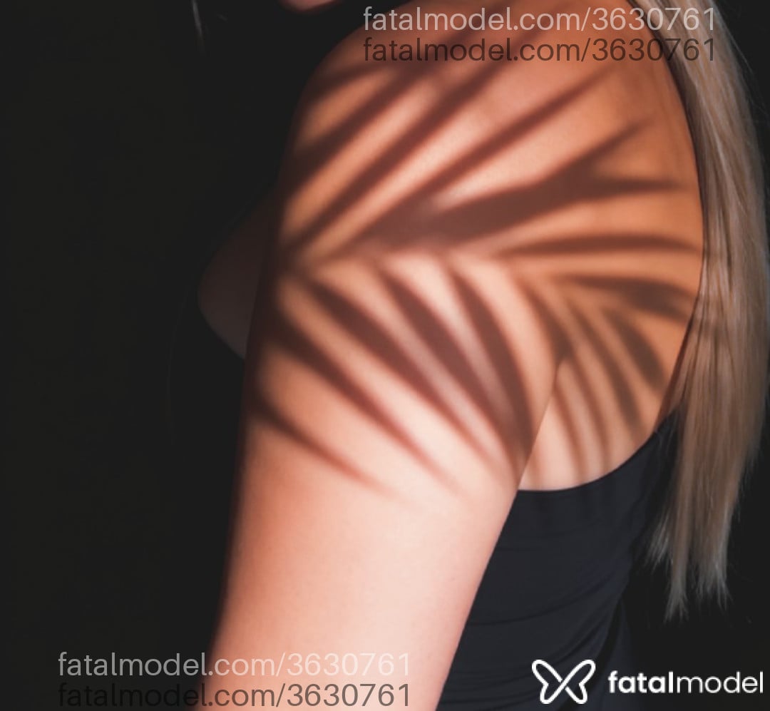 Imagem 2