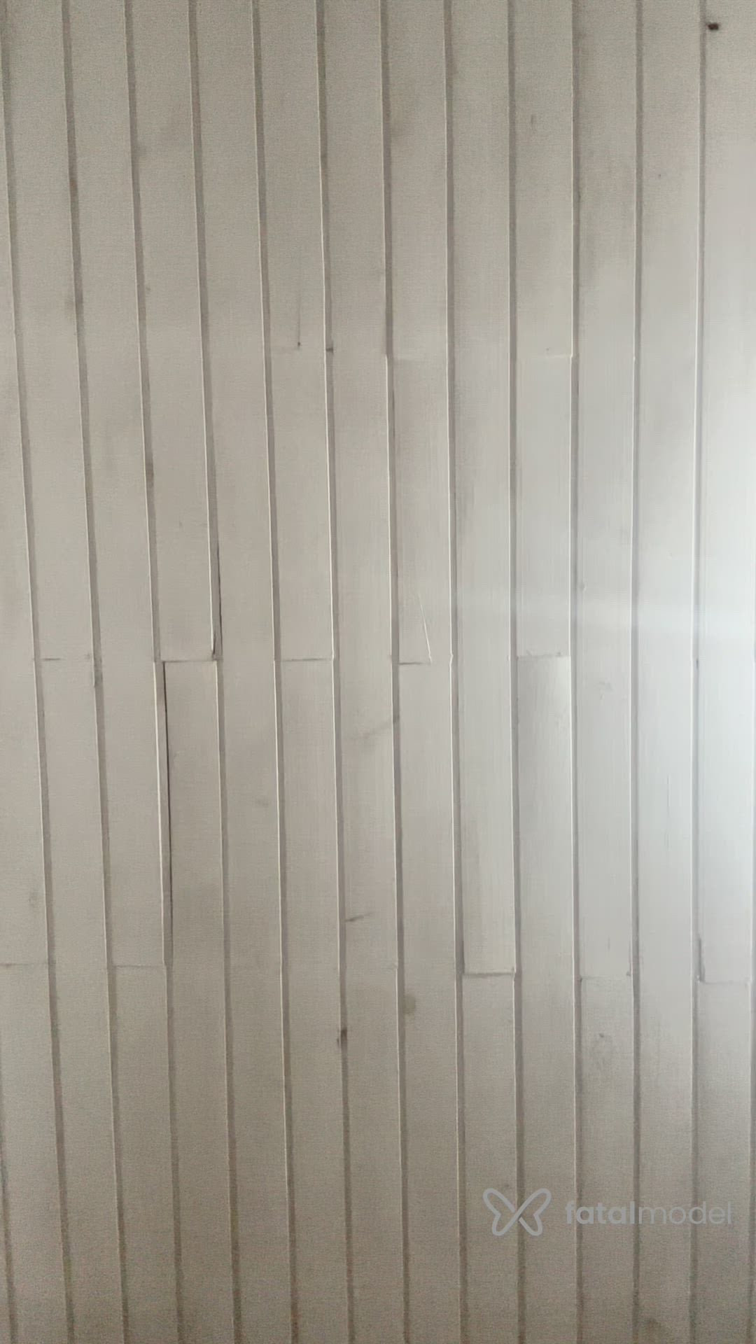 Vídeo 2