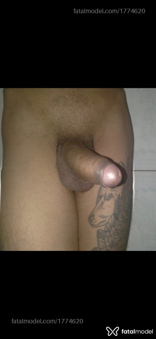 Imagem 7