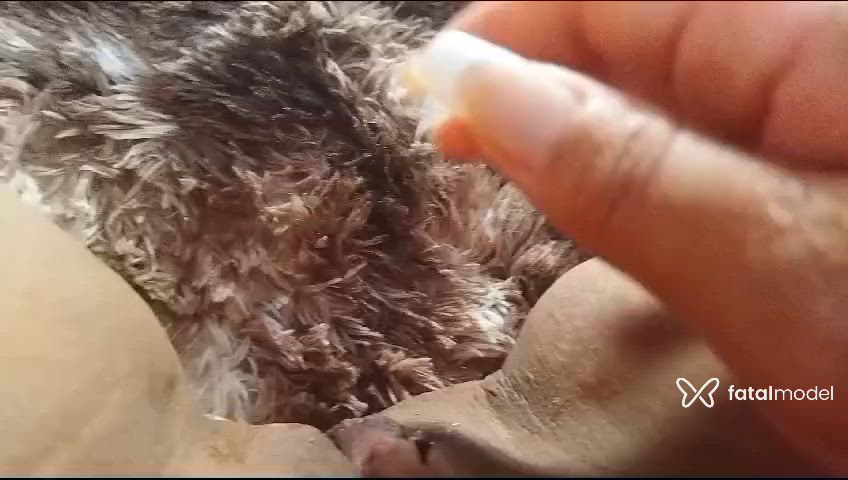 Vídeo 1