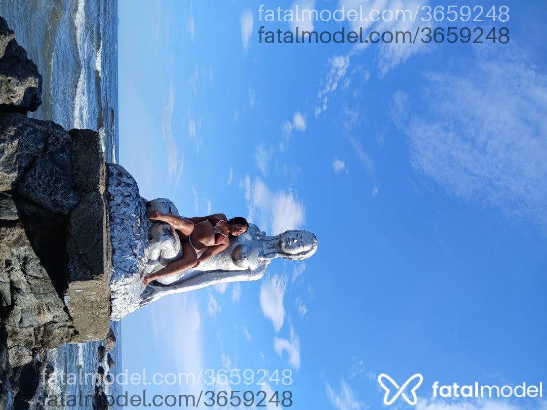 Imagem 3