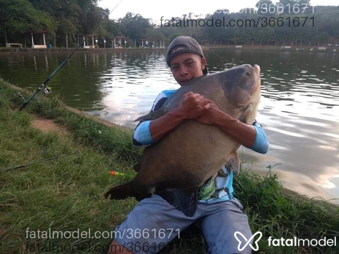 Imagem 5