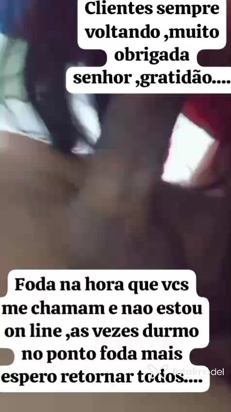 Vídeo 4