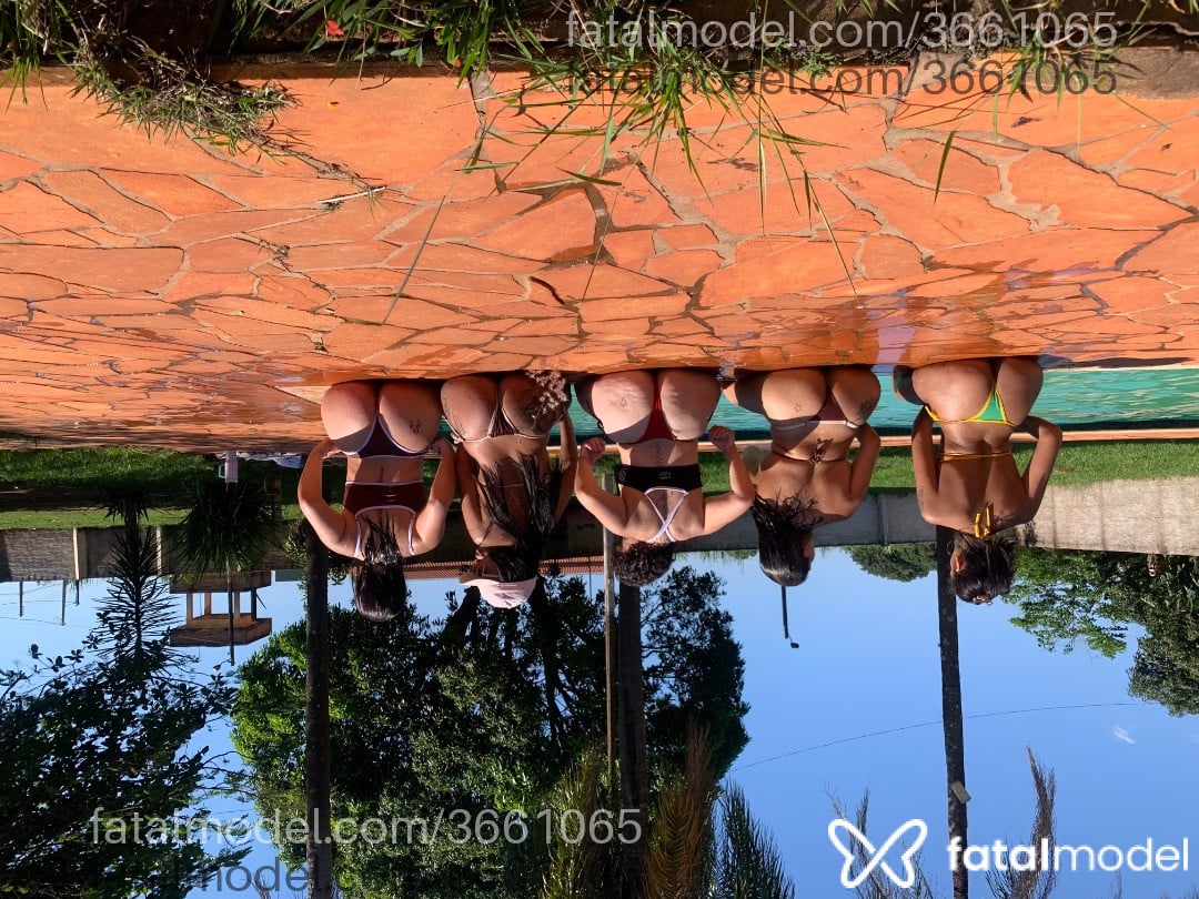 Imagem 3