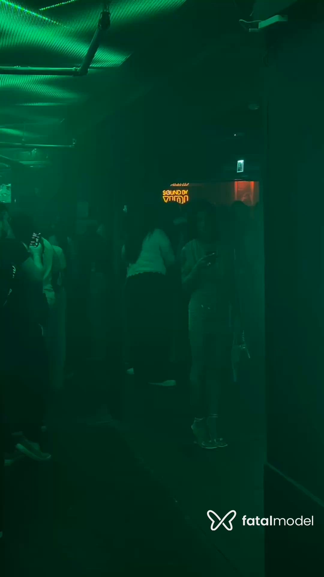 Vídeo 5