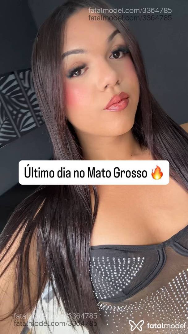 Acompanhante mulher trans morena (o) de olhos pretos - Andressa Ferraz