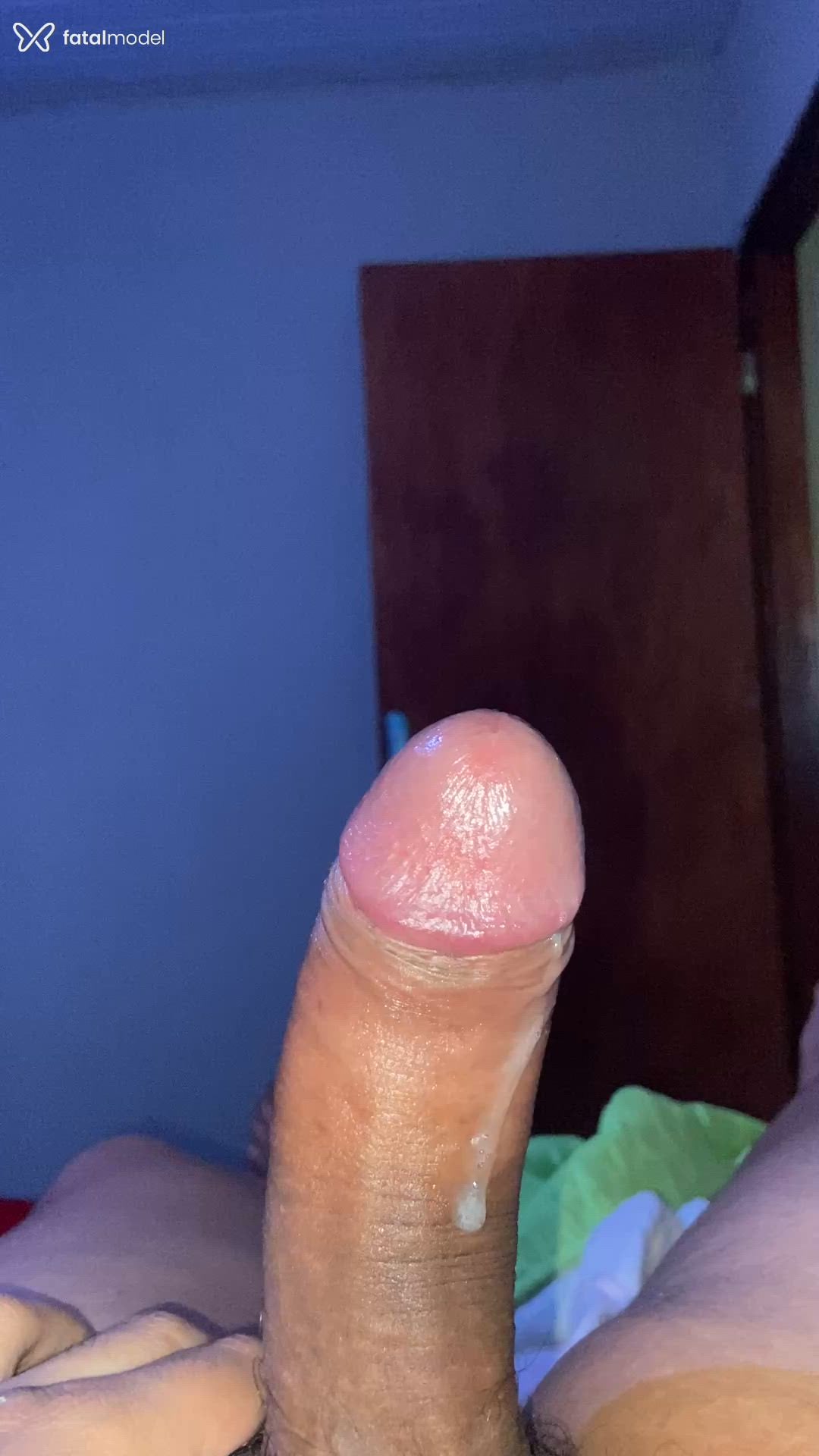 Acompanhante mulher trans morena (o) de olhos pretos - Emily Matozzo