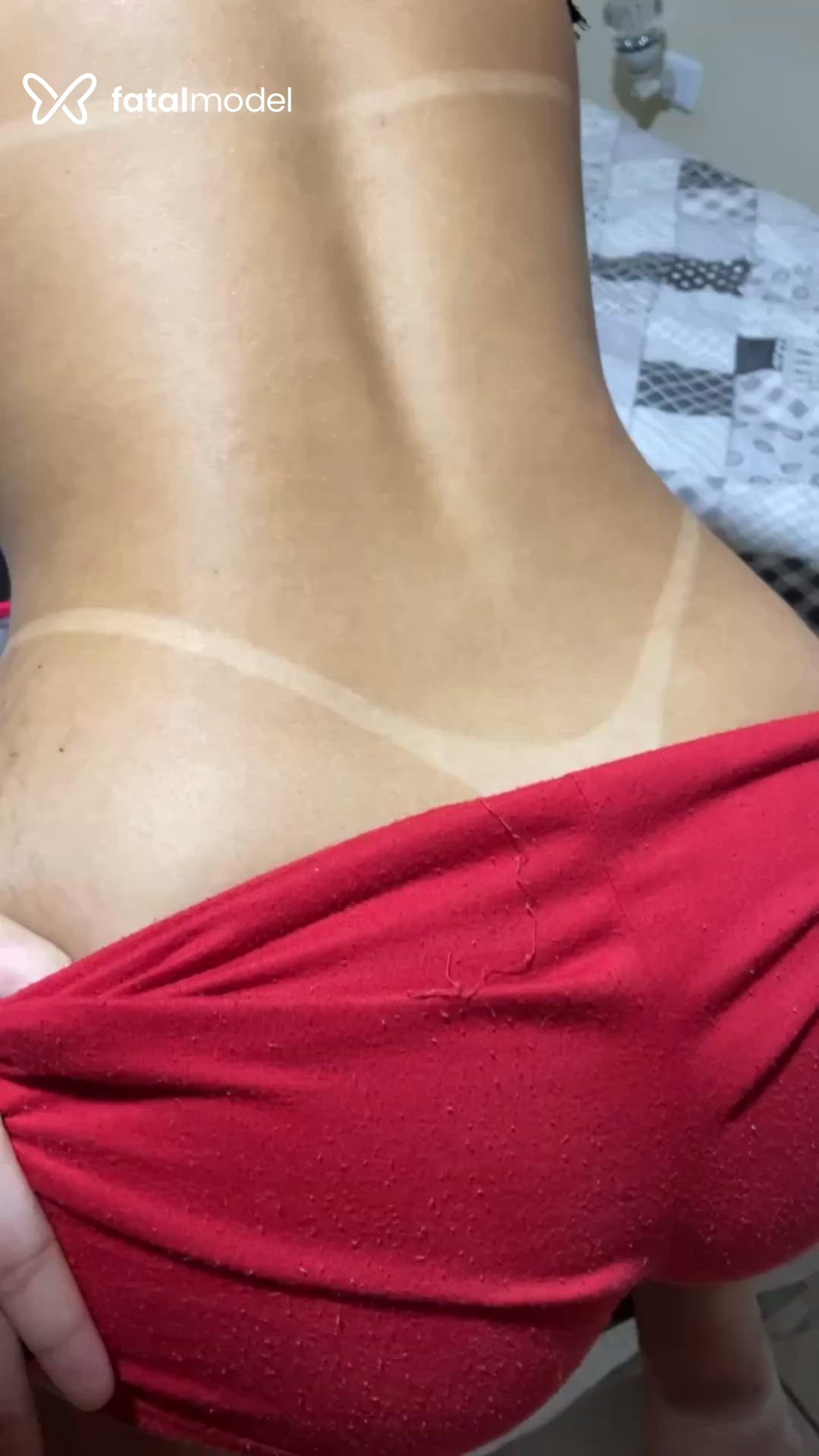Acompanhante mulher morena (o) de olhos castanhos - Aline Mello