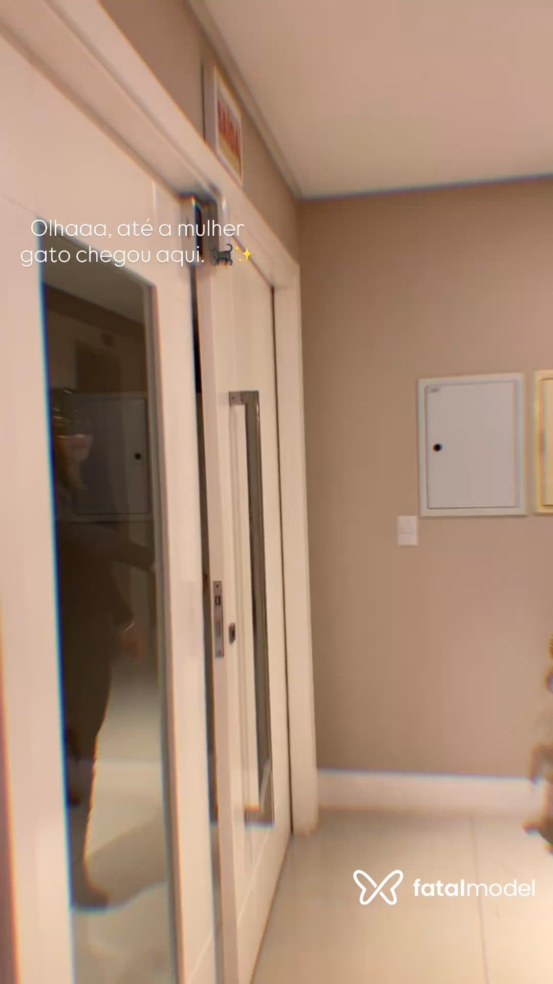 Vídeo 1
