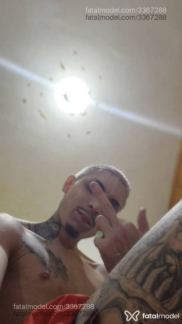 Acompanhante homem loira (o) de olhos mel - Marcus Nevss