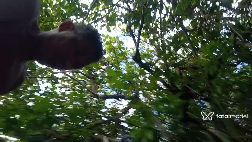 Vídeo 1