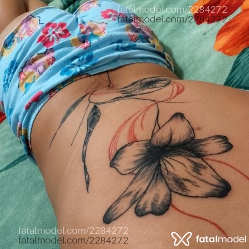 Imagem 1