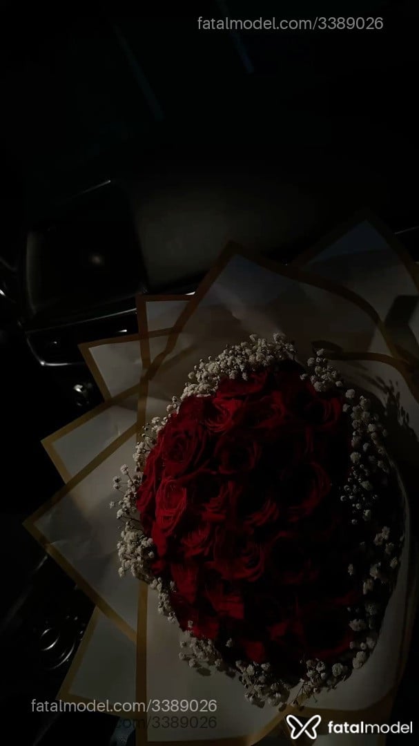 Imagem 9